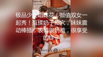 极品少女姐妹花！颜值双女一起秀！互揉奶子扣穴，妹妹震动棒插，表情很娇羞，很享受的样子