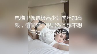 电梯里偶遇极品少妇肉丝加高跟，偷偷瞄几眼居然问想不想干她，淫荡对白