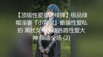 【顶级性爱重磅核弹】极品绿帽淫妻『小海星』最强性爱私拍 黑丝女神挑战各路性爱大神 操嗨全场 (2)