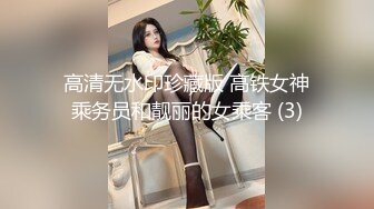 高清无水印珍藏版 高铁女神乘务员和靓丽的女乘客 (3)