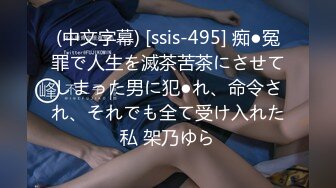 (中文字幕) [ssis-495] 痴●冤罪で人生を滅茶苦茶にさせてしまった男に犯●れ、命令され、それでも全て受け入れた私 架乃ゆら