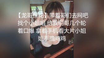 【龙哥探花】带着哥们去网吧找个小姐姐 给我们哥几个轮着口爆 拿着手机看大片小姐姐手撸鸡鸡