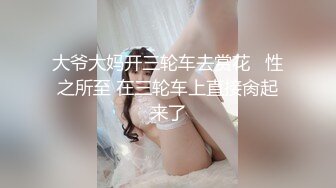 大爷大妈开三轮车去赏花   性之所至 在三轮车上直接肏起来了