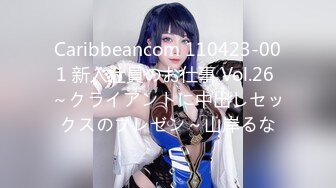 Caribbeancom 110423-001 新入社員のお仕事 Vol.26 ～クライアントに中出しセックスのプレゼン～山岸るな