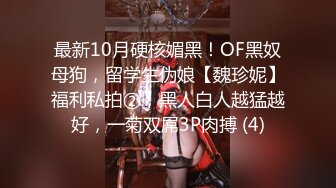 最新10月硬核媚黑！OF黑奴母狗，留学生伪娘【魏珍妮】福利私拍②，黑人白人越猛越好，一菊双屌3P肉搏 (4)