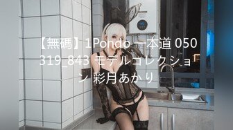 【無碼】1Pondo 一本道 050319_843 モデルコレクション 彩月あかり