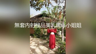 無套內射極品美乳黑絲小姐姐