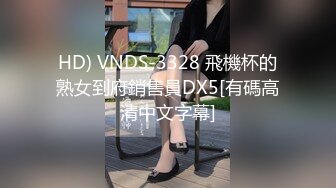 HD) VNDS-3328 飛機杯的熟女到府銷售員DX5[有碼高清中文字幕]