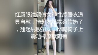 红唇眼镜颜值女神性感睡衣道具自慰，撩起衣服露柔软奶子，翘起屁股扭动，M腿椅子上震动棒摩擦阴蒂