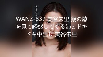 WANZ-837 美谷朱里 親の隙を見て誘惑してくる姉とドキドキ中出し 美谷朱里