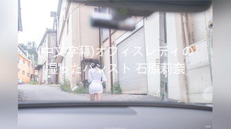 (中文字幕)オフィスレディの湿ったパンスト 石原莉奈